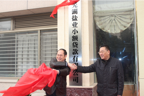 芜湖248cc永利集团小额贷款有限公司12月26日举行开业庆典