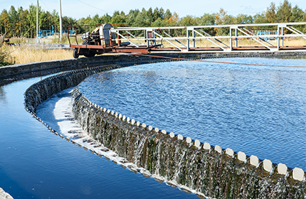 50ff9d792fbe137d839a2f640a9477c3