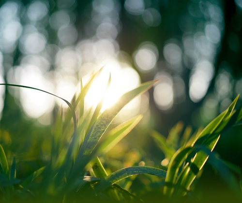 76e411e14883156619d13efa43b88561