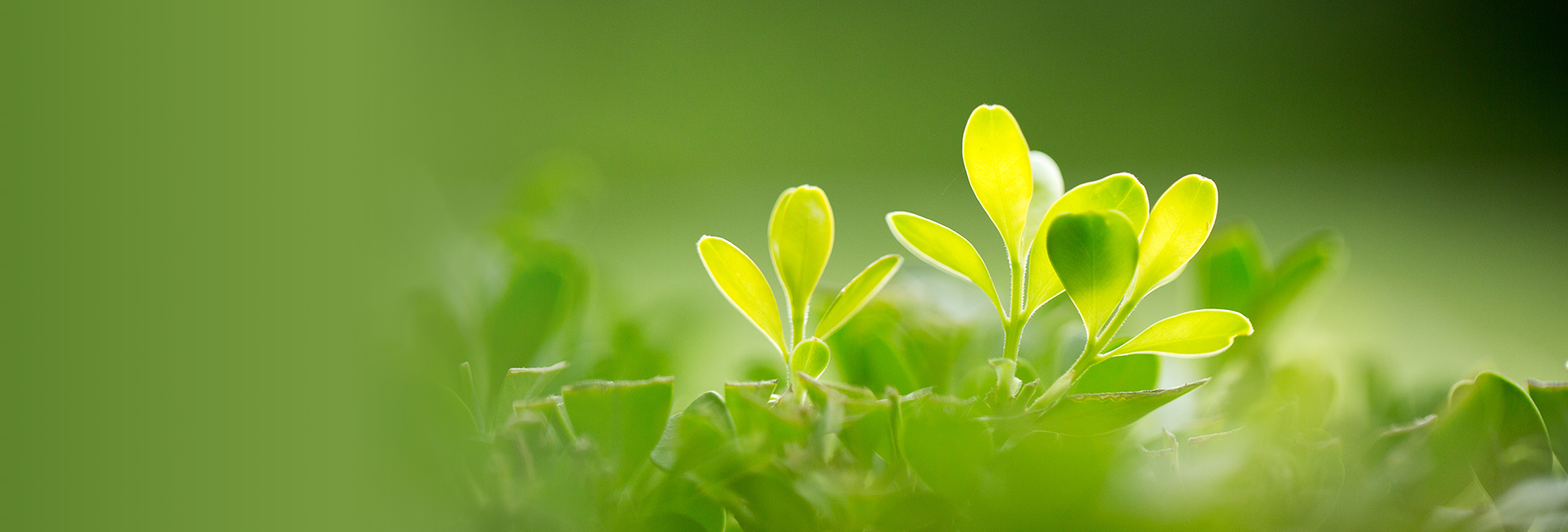 c616bb6a85031031924be558b8beec6c