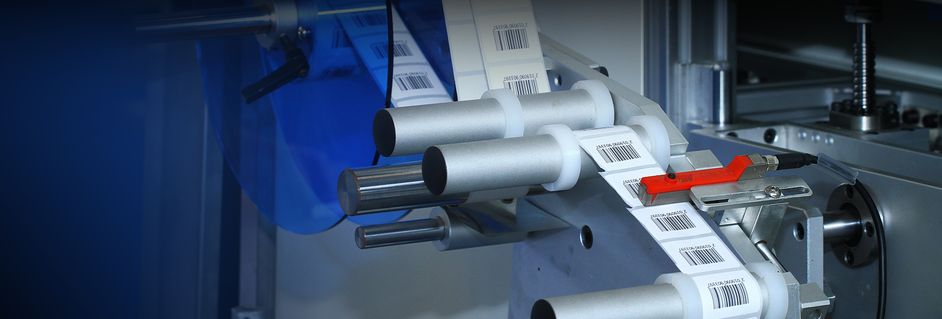 2456ece3bbde43af0aaeac933bf30f66