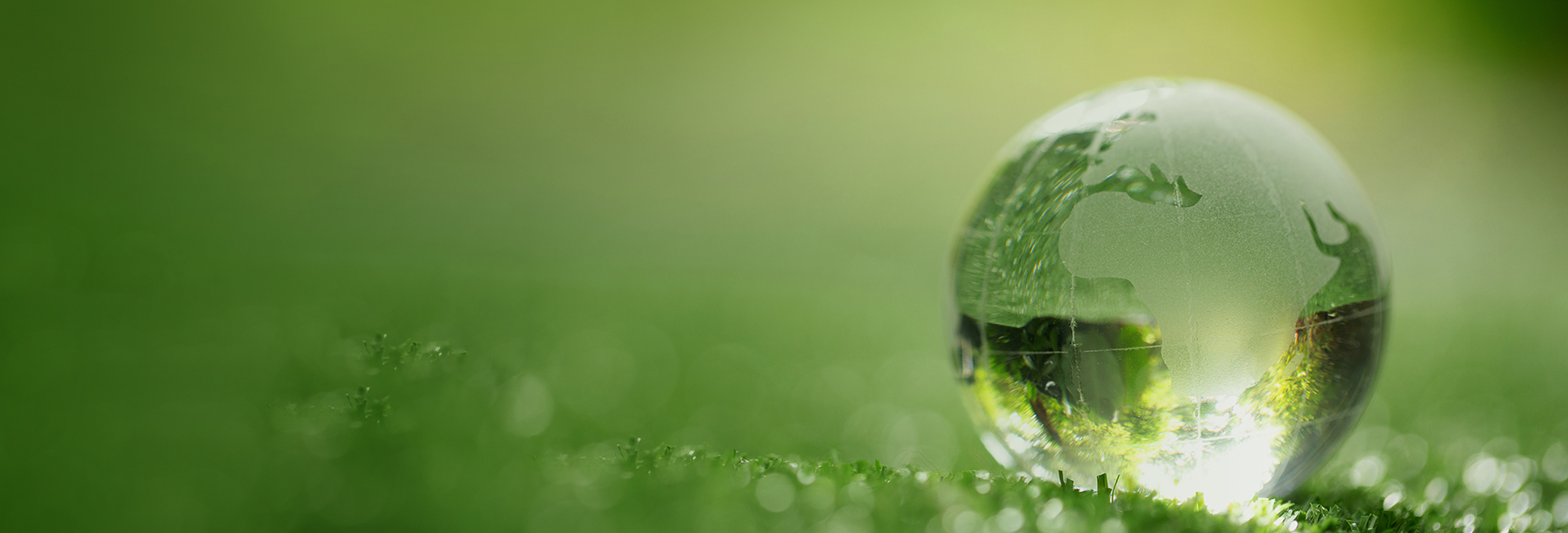 1c58ff458909b1db56ec3eadba28e7ab